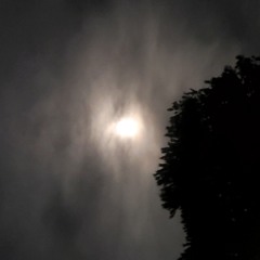 From discovery to rediscovery vol. 14