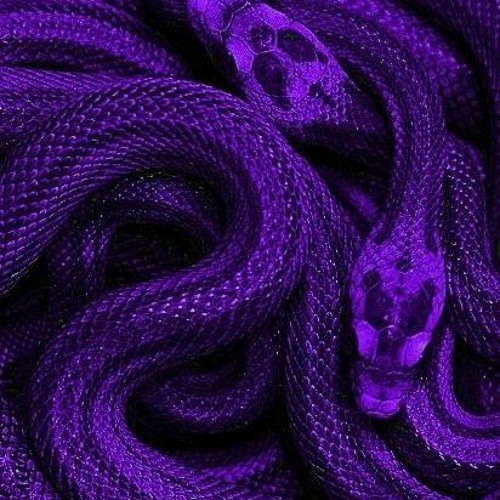 LAYING WITH SNAKES(prod . palaze beats)