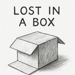 Lost in a Box
