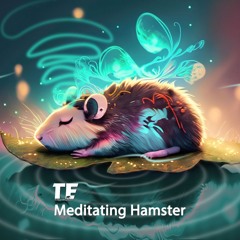 Meditating Hamster | New Release | Soon On All Stores!
