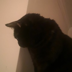 Bloodweiser  (Disco SPLIT 1)