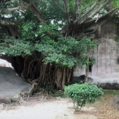 Role Model Soundtrack