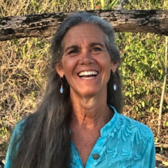 595. Wisdom of the Body: Therese Jornlin’s Guidance on Interconnectedness