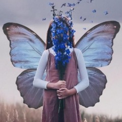 NIGHT FLOWER