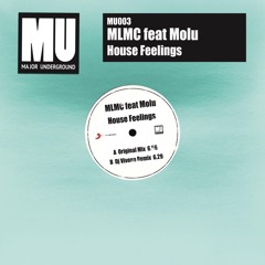 House Feelings (feat. Molu)