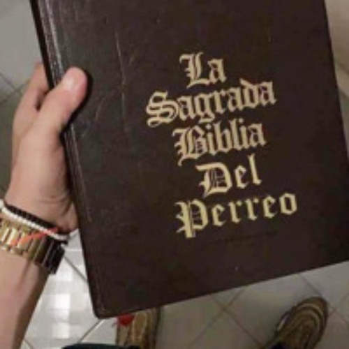 Bailando Perreo [ experimentação ]