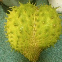Guanabana fruit song!