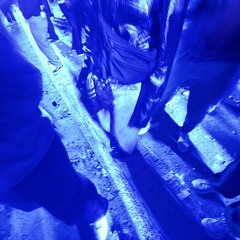 Creatures Of The Forest