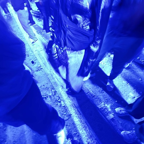 Creatures Of The Forest