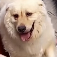 MIX DISCOTECA 2023  Lo Mejor Del Reggaeton  Mix Perreo Intenso 2023  DJ LeonKing.mp3