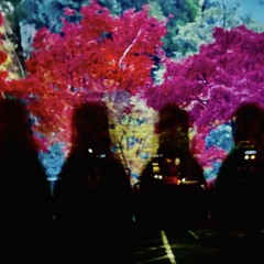 Almost Heaven (unreleased)