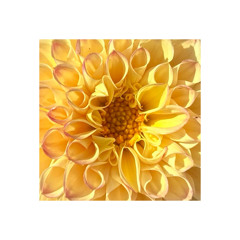 16(17) Mitt i sommaren