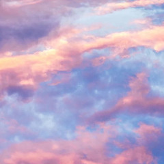 we should be friends