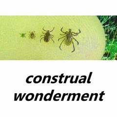 Construal Wonderment - 3. Notable Absence Of Care