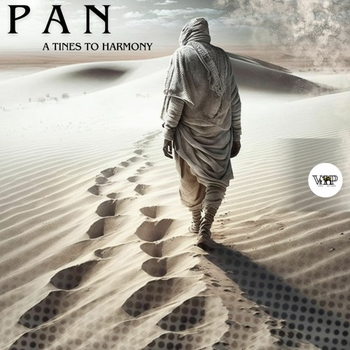 𝐏𝐑𝐄𝐌𝐈𝐄𝐑𝐄: P A N - A Tines To Harmony (Vocal Mix) [Camel VIP Records]