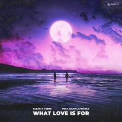 Kleak & Veebu - What Love Is For (feat. Daniela Nicole)
