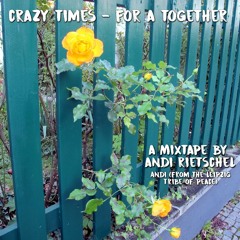 crazy times - for a together - A Andiji  - Andi Rietschel mixtape