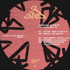 B3 - Sebastian Adum - Spider Groove (snippet) [What NxT]