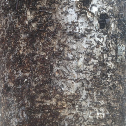 literally, empty orchestra - disquiet0428