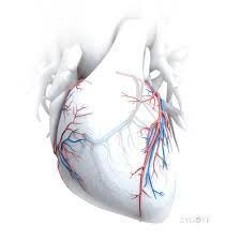 lcb - hesitatee (sense)