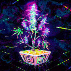 Thee Solstice Record