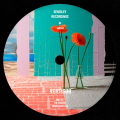 PREMIERE: Vertigini - Drunk Shuffler