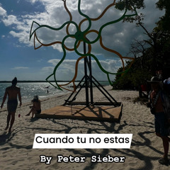 Cuando tu no estas by PS