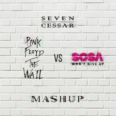 Piero Pirupa Vs Pink Floyd Vs Sosa - The Wall Vs Won´t Give Up (Seven Cessar Mashup)
