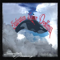 Salvation liquor destiny