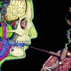 𝙋𝙞𝙥𝙚 𝘿𝙧𝙚𝙖𝙢