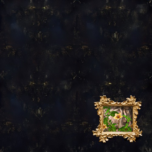 [Premiere] Daysailer - Reminiscing Of Raves I Never Went To (xenonyms)