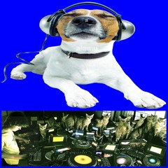 No scubs (Dance!Now)