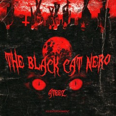 ATEEZ(에이티즈) - THE BLACK CAT NERO