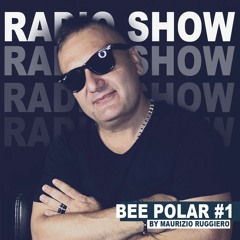 BEE Polar Radio Show #1
