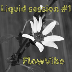 FV - Liquid Session #1