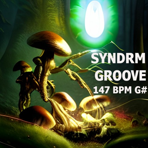 SYNDRM GROOVE - KICK DRUM SUB BASS Pattern Beat3 147bpm G# Mix20230201_173810_268