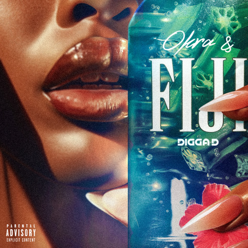 Digga D: Complete collection