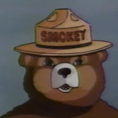 Prevent Forest Fires