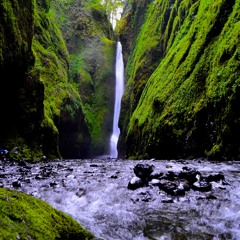 The ballad of beloved Oneonta Gorge