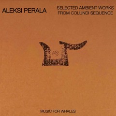 Music for Whales - Aleksi Perala, selected ambient works