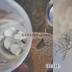 Roads End II (feat. Don Litte)