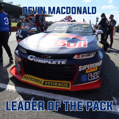 Leader Of The Pack