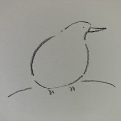 Gryllo Idea