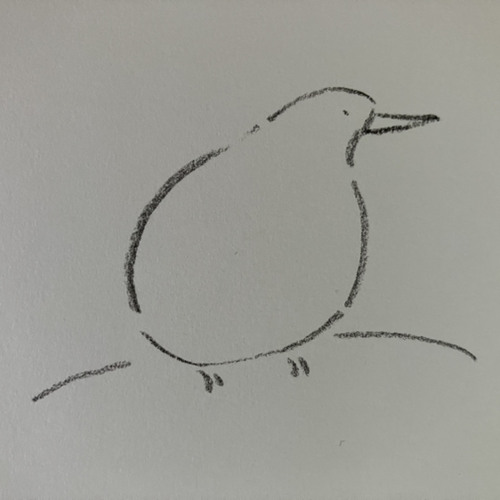 Gryllo Idea