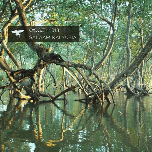 Exocet 013 ))) Salaam Kalyubia ~ 𝑀𝑎𝑛𝑔𝑟𝑜𝑣𝑒𝑠