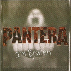 Pantera - I'm Broken (cover) by Elver