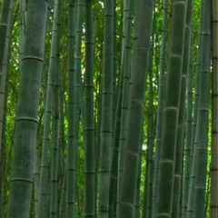 Are you okay? - N0n3_Sens3