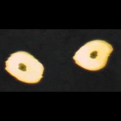 Hi-C - C0rps3P@rti (Sped Up)