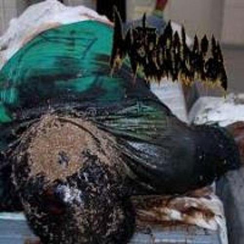 METRORRHAGIA - Spontaneous Ejaculation From Fantasies Of Cadaver Molesting Deviance