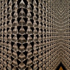 SO LONG, And Thanks For All The Fish!